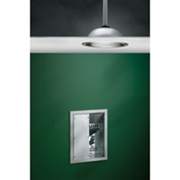 S19-125FMBF BARRIER-FREE RECESSED-MOUNTED DRENCH SHOWER W/ A RECESSED MOUNTED HANDLE AND FLUSH MOUNTED