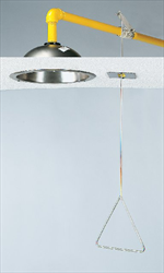 S19-120FM  FLUSH MOUNTED  HORIZONTAL SUPPLY DRENCH SHOWERS; STAINLESS STEEL  SHOWERHEAD
