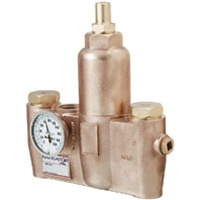 S19-2200  EFX60 THERMOSTATIC MIXING VALVE  1" INLET, 1 1/4" OUTLET; 2.0-83 GPM
