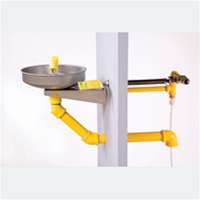 S19-220HFP12  WALL MOUNTED EYE/ FACE WASH; FROSTPROOF; STAINLESS STEEL BOWL , BEHIND WALL VALVE, 8-12" WALL THICKNESS
