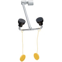 S19-270JD COUNTER MOUNT SWING DOWN EYE/FACE WASH