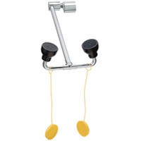 S19-270JD COUNTER MOUNT SWING DOWN EYE/FACE WASH